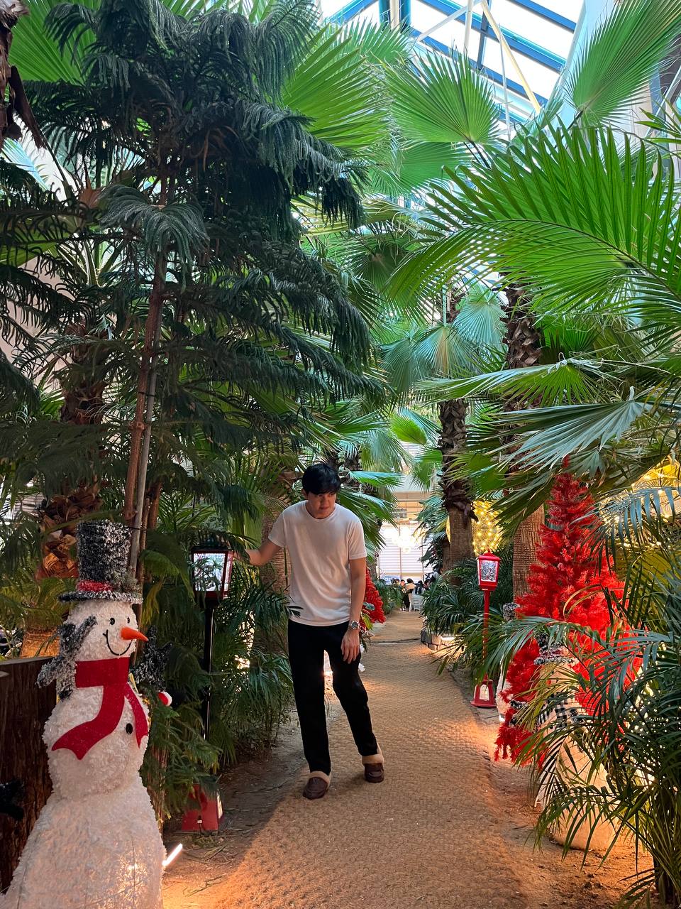 Forest Outings cafe in Korea, offering a serene atmosphere with rustic decor and views of lush greenery, perfect for a nature-inspired coffee experience